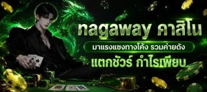 นากาเวย์ ทางเข้า