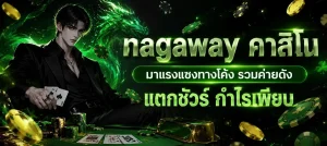 นากาเวย์ ทางเข้า